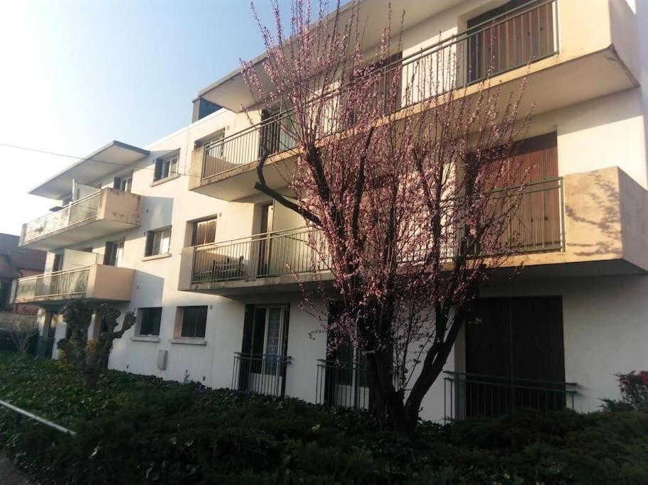 רואן Appartement Avec Balcon Et Parking Prive מראה חיצוני תמונה